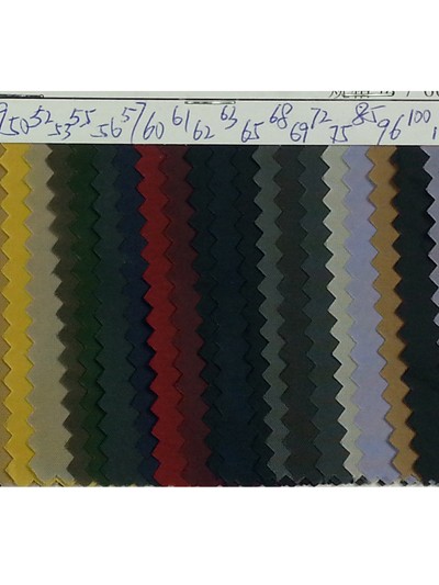 HK-LMSG 190T poly裡布 後面照